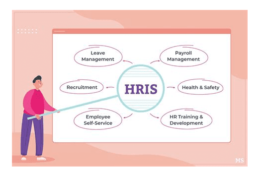 Hris For Small Companies
