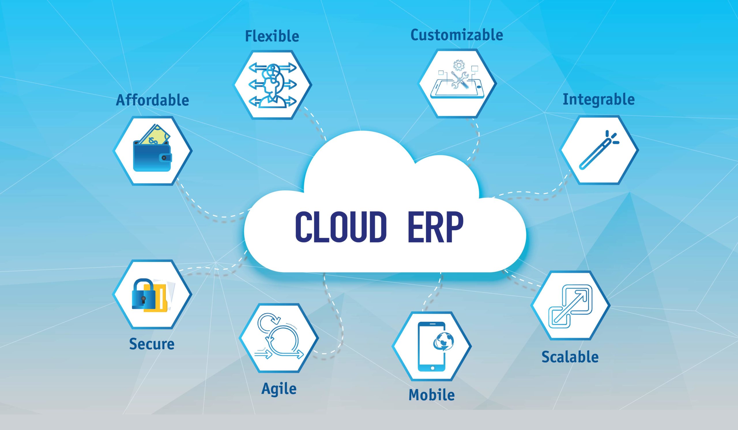 Small Business Erp System